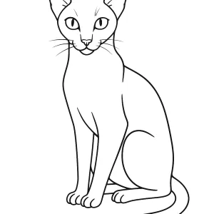 Desenho de gato para colorir 39