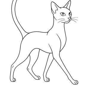Desenho de gato para colorir 41