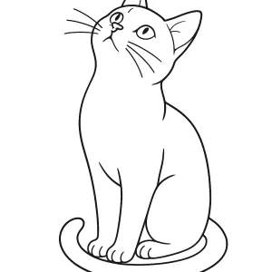 Desenho de gato para colorir 46