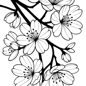 Desenho de flores para pintar 27