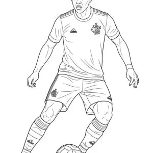 Desenho do Flamengo para colorir 22