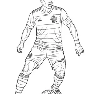 Desenho do Flamengo para colorir 24