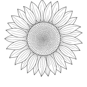 Desenho de flores para pintar 41