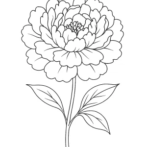 Desenho de flores para pintar 42