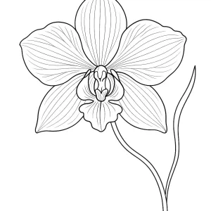 Desenho de flores para pintar 43