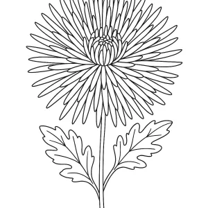 Desenho de flores para pintar 45
