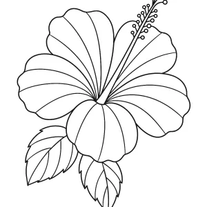 Desenho de flores para pintar 46