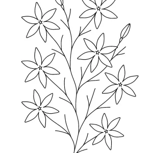 Desenho de flores para pintar 48