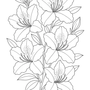 Desenho de flores para pintar 49