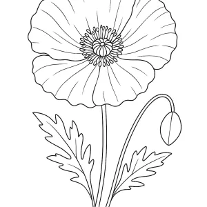 Desenho de flores para pintar 54