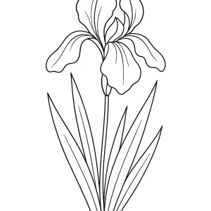 Desenho de flores para pintar 55