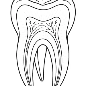 Desenho de dentista para colorir 5