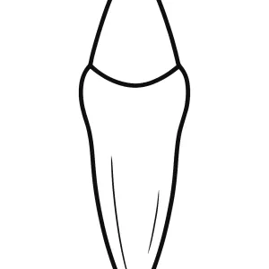 Desenho de dentista para colorir 16