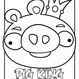 Desenho de Angry Birds para colorir 49