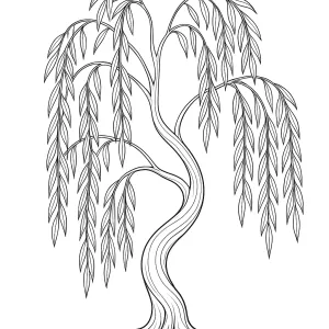 Desenho de árvore para colorir 19
