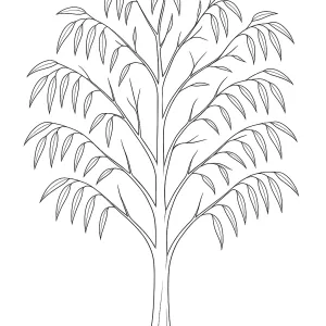 Desenho de árvore para colorir 23