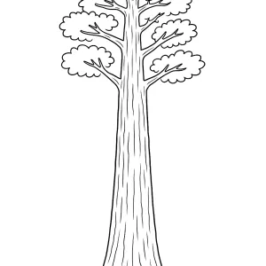 Desenho de árvore para colorir 28