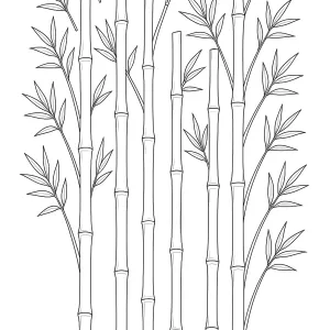 Desenho de árvore para colorir 29
