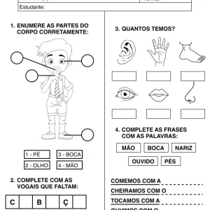 Ficha de alfabetização para colorir 34