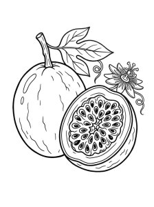 Maracujá em desenho fácil com duas folhas, para colorir