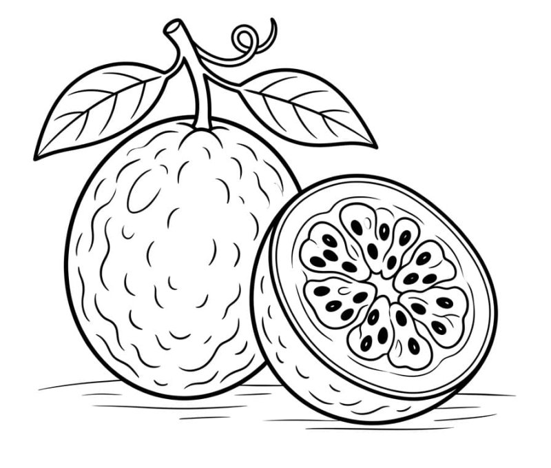 Maracujá em desenho muito simples, para os mais pequenos colorirem