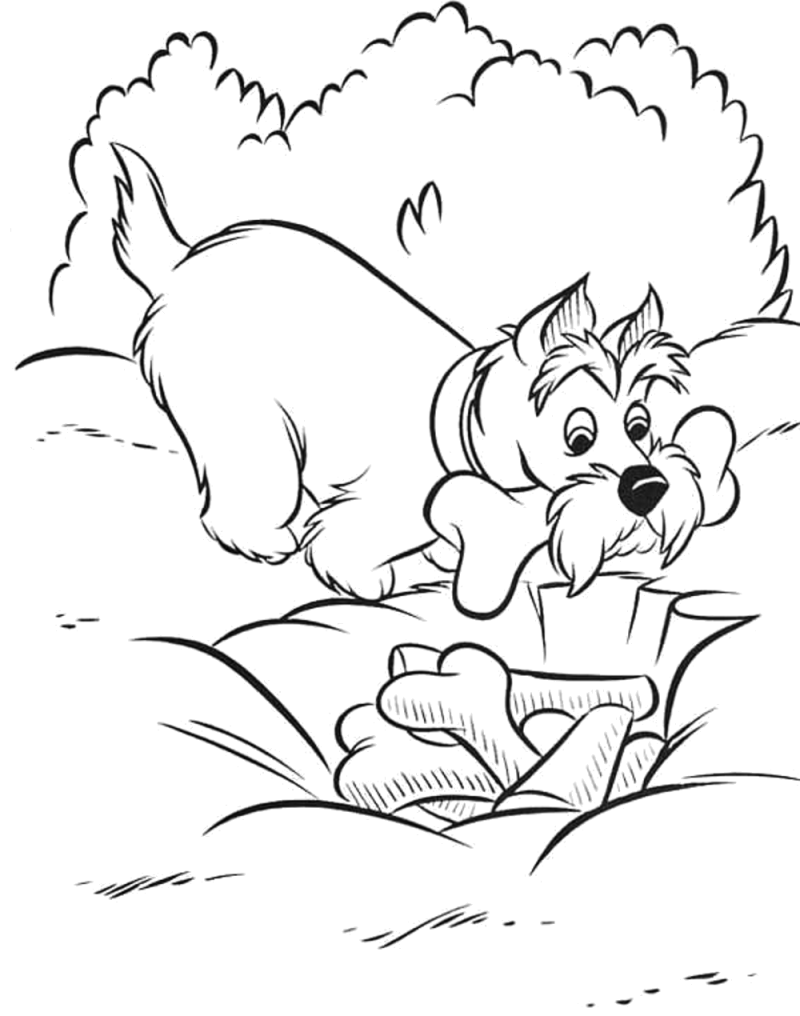 O Vagabundo a desenterrar um osso, desenho para colorir