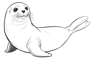 Foca deitada a olhar para trás, desenho para colorir