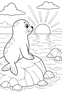 Foca numa rocha ao pôr do sol, desenho para colorir