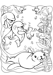 Focas e golfinhos no fundo do mar, desenho para colorir