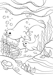 Duas focas a nadar entre bolhas, desenho para colorir