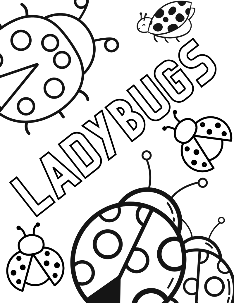 Joaninhas com a palavra Ladybugs, desenho para colorir