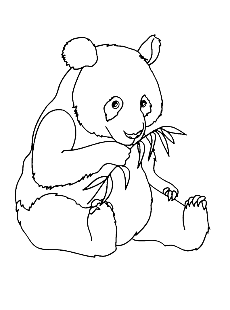 Panda sentado com folhas de bambu, desenho para colorir