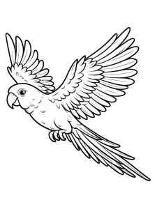 Papagaio de crista a voar, desenho para colorir