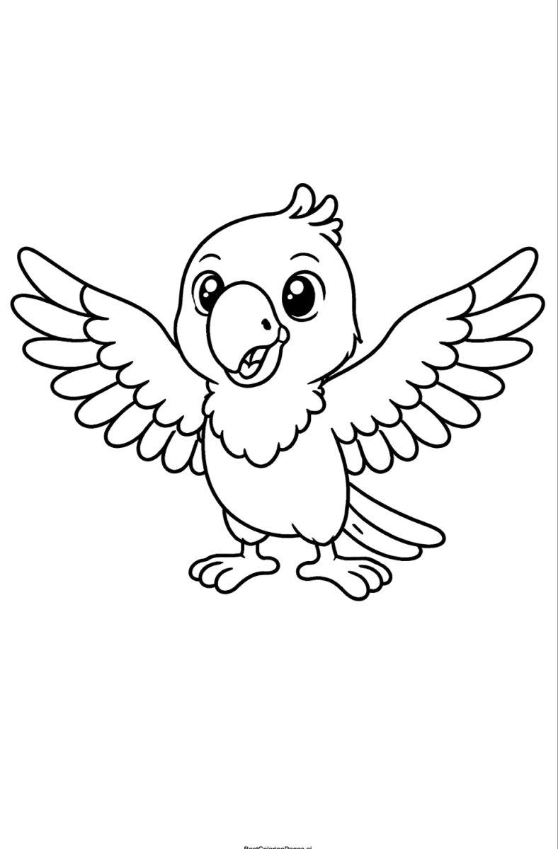 Papagaio bebé de asas abertas, desenho para colorir