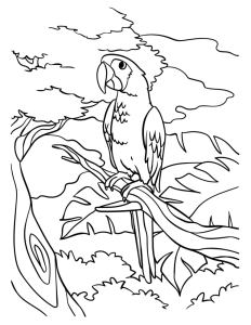 Papagaio pousado numa árvore, desenho para colorir