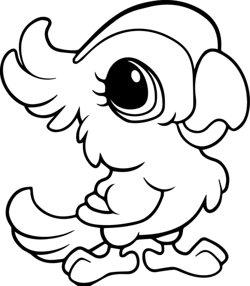 Papagaio bebé de olhos grandes, desenho para colorir