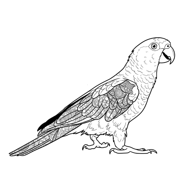 Papagaio de perfil, desenho para colorir