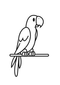 Papagaio simples num poleiro, desenho para colorir