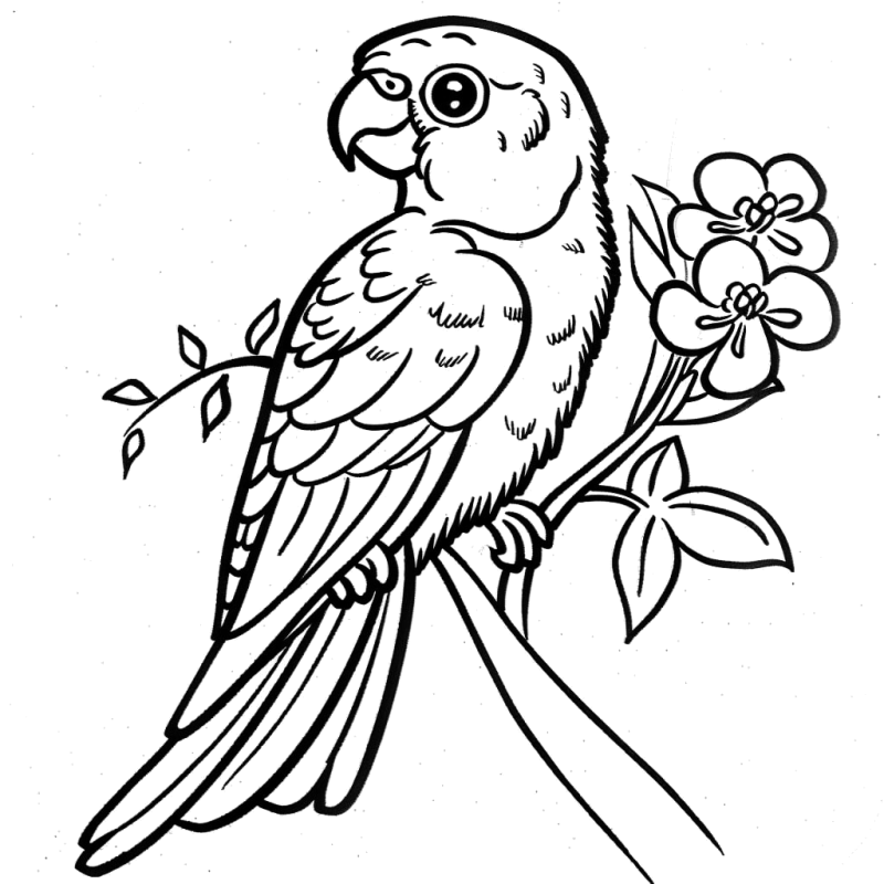 Arara num ramo com flores, desenho para colorir
